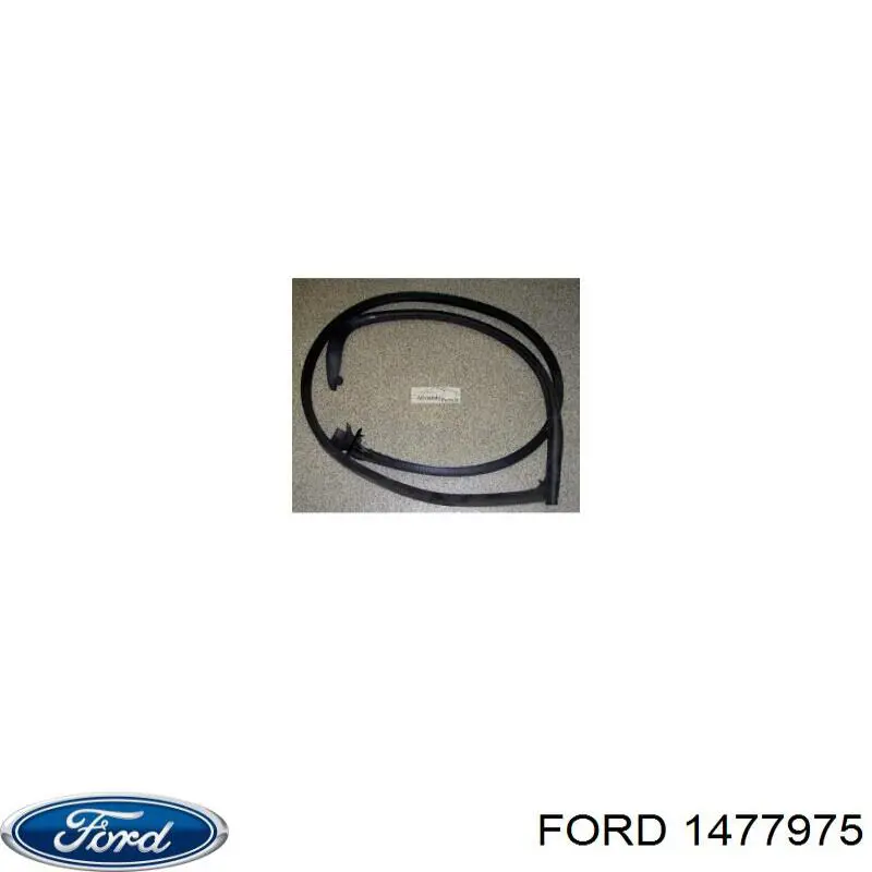 1809934 Ford 