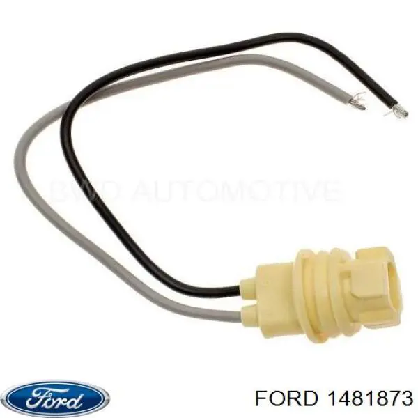  1481873 Ford