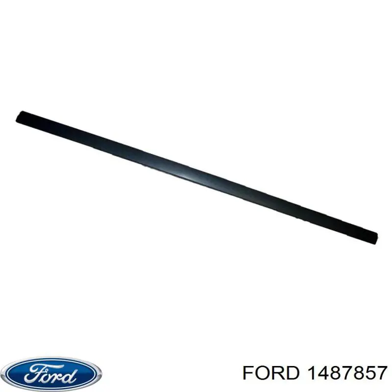 Молдинг двери передней левой Ford 1487857 цена, от 8.37 USD