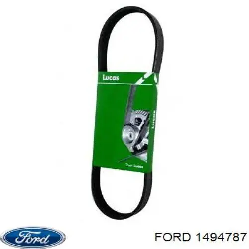 Клиновый ремень Ford 1494787 цена, от 14.82 USD