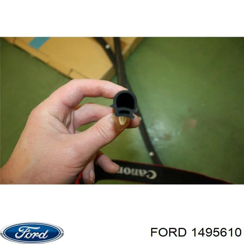 1495610 Ford уплотнитель двери передней правой (на двери)