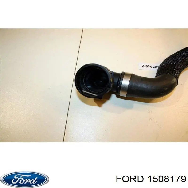 1431601 Ford 