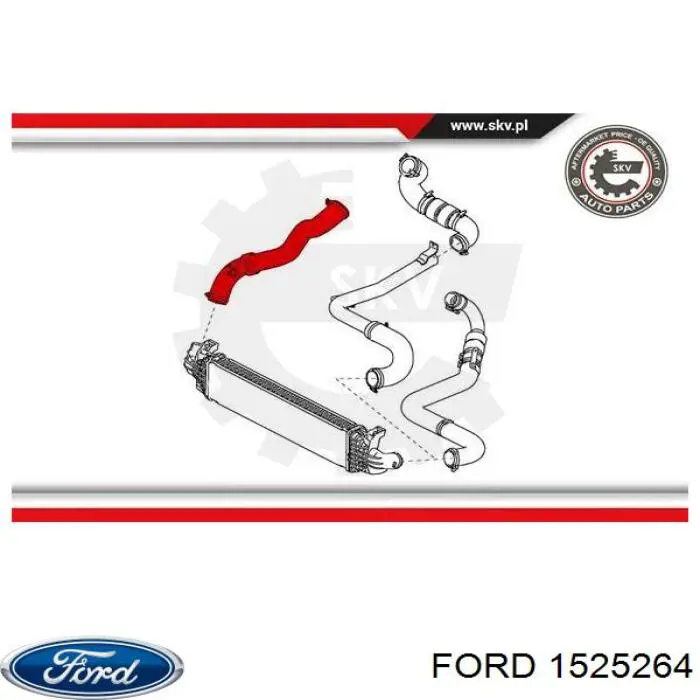 1496219 Ford mangueira (cano derivado direita de intercooler)