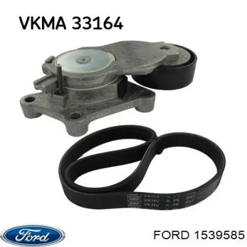 Купить 1539585 Ford Ремень генератора