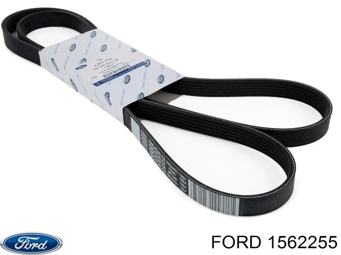 Водяной насос Ford 1562255