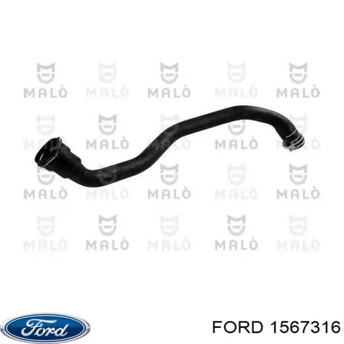 1567316 Ford 