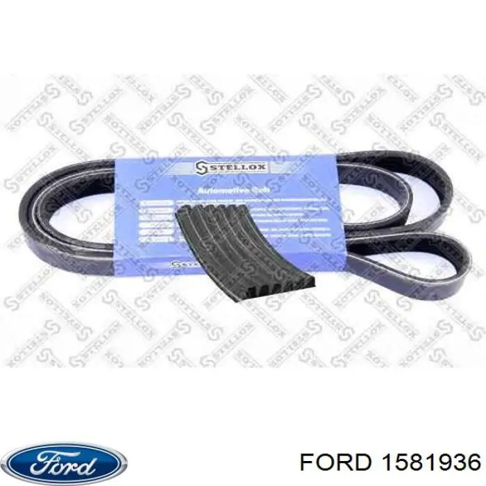 1581936 Ford глушитель, задняя часть