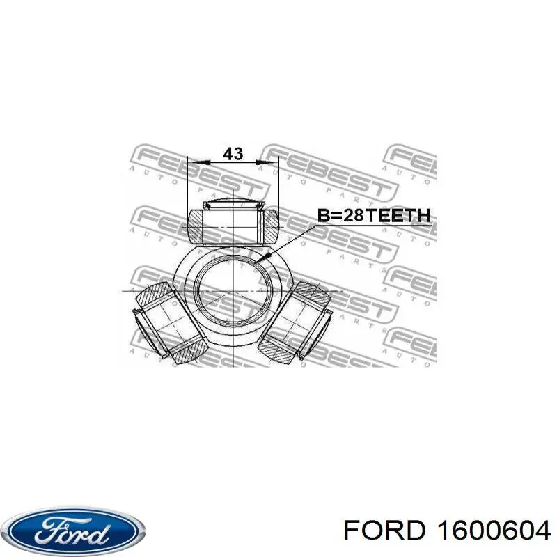  1600604 Ford