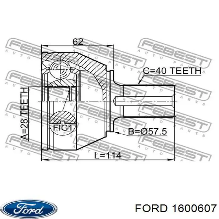 1600607 Ford