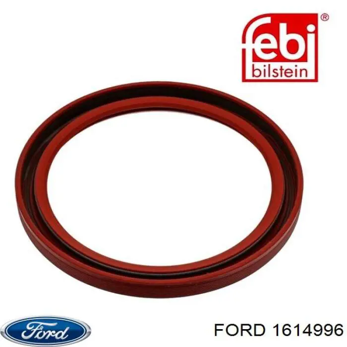 Купить 1614996 Ford Сальник коленвала задний