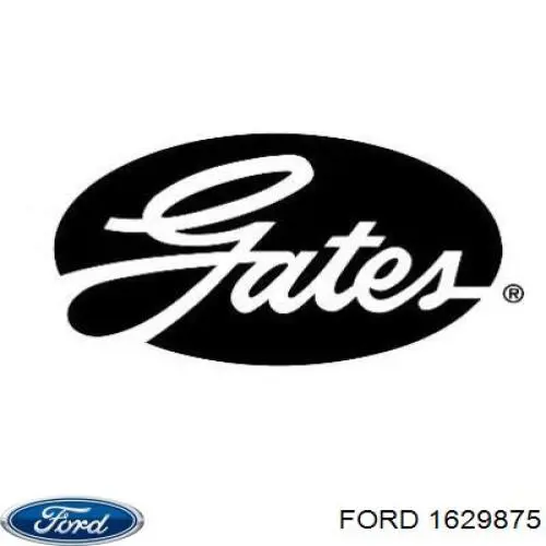 Клиновый ремень Ford 1629875 цена, от 5.41 USD