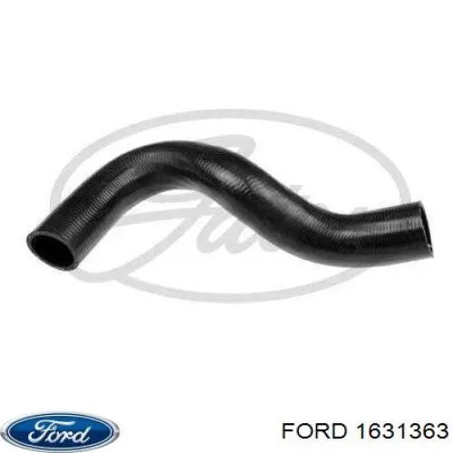 Нижний шлаг радиатора охлаждения 1631363 Ford
