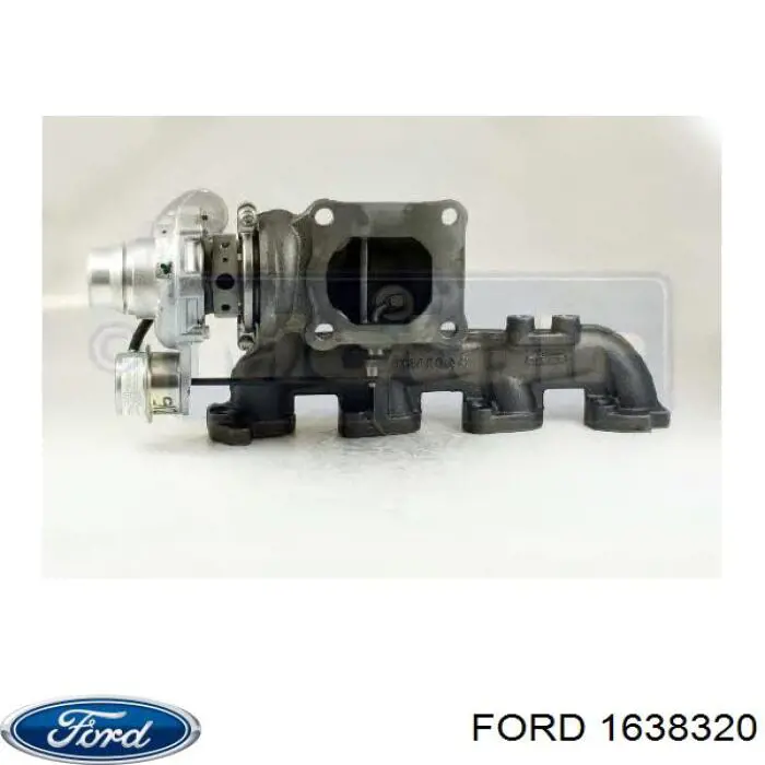 Купить 1638320 Ford Пыльник гранаты наружный, передний