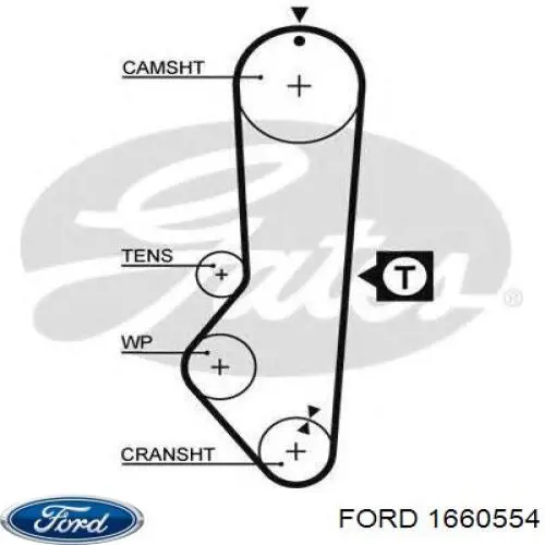 Ремень ГРМ FORD 1660554