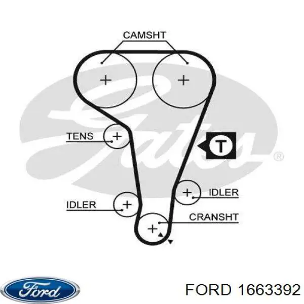Купить 1663392 Ford Ремень газораспределительного механизма