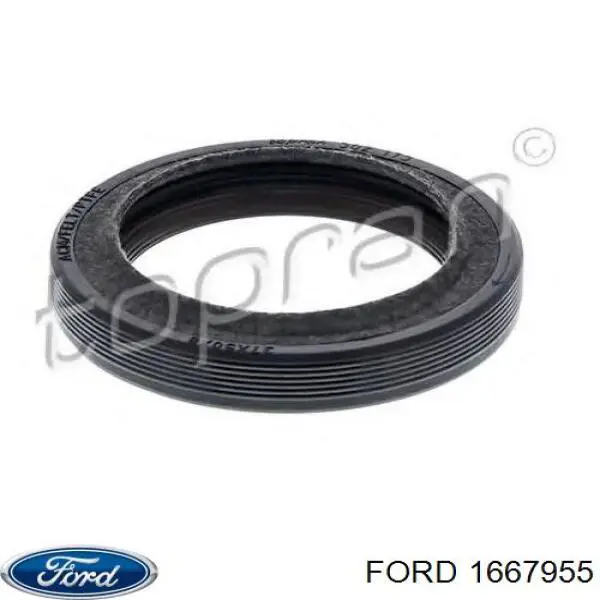 1667955 Ford