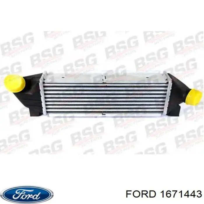  1671443 Ford