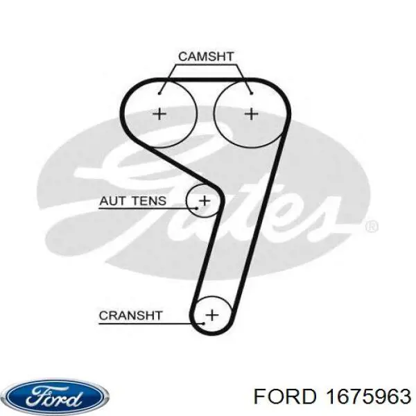 ГРМ ремни Ford 1675963