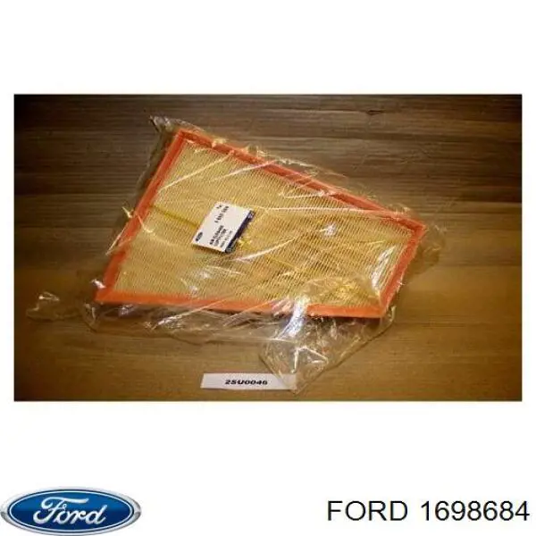 1698684 Ford Filtro de ar