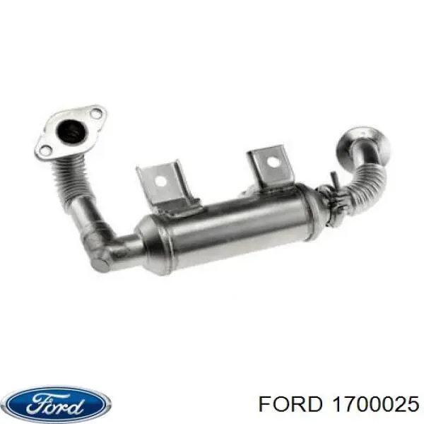 Радиатор системы EGR рециркуляции выхлопных газов Ford 1700025