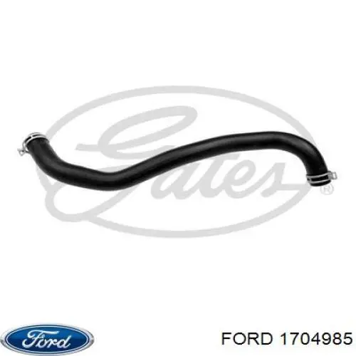 Mangueira (cano derivado) inferior do radiador de esfriamento para Ford Fiesta (CB1)