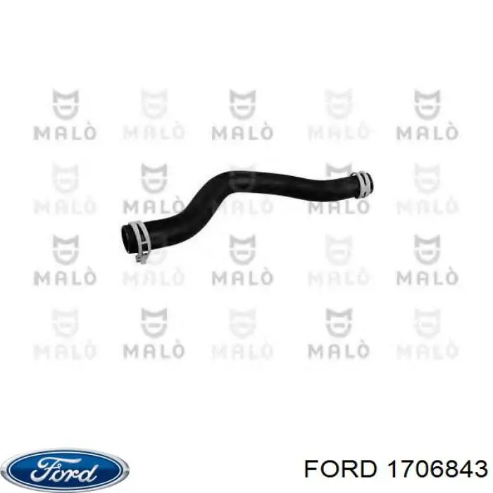  1673123 Ford