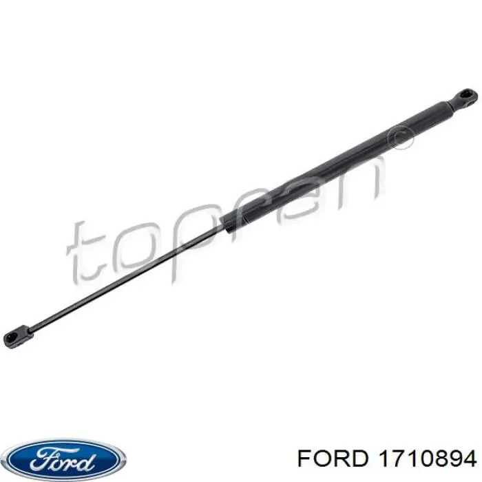 Амортизатор задней двери Ford 1710894 цена, от 11.28 USD