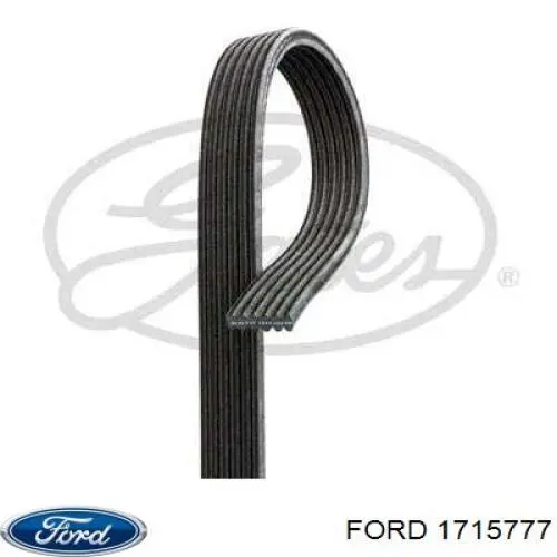 Correa trapezoidal 1715777 Ford