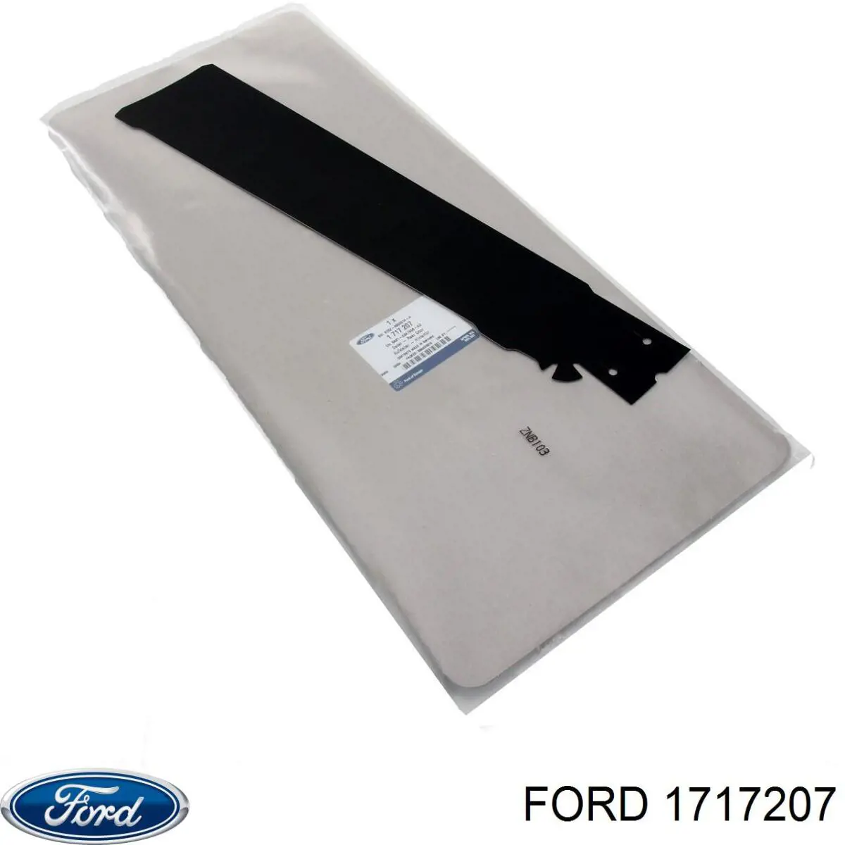  1717207 Ford