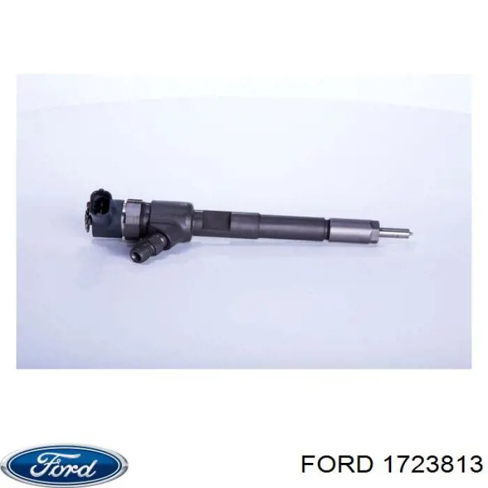 1723813 Ford форсунки