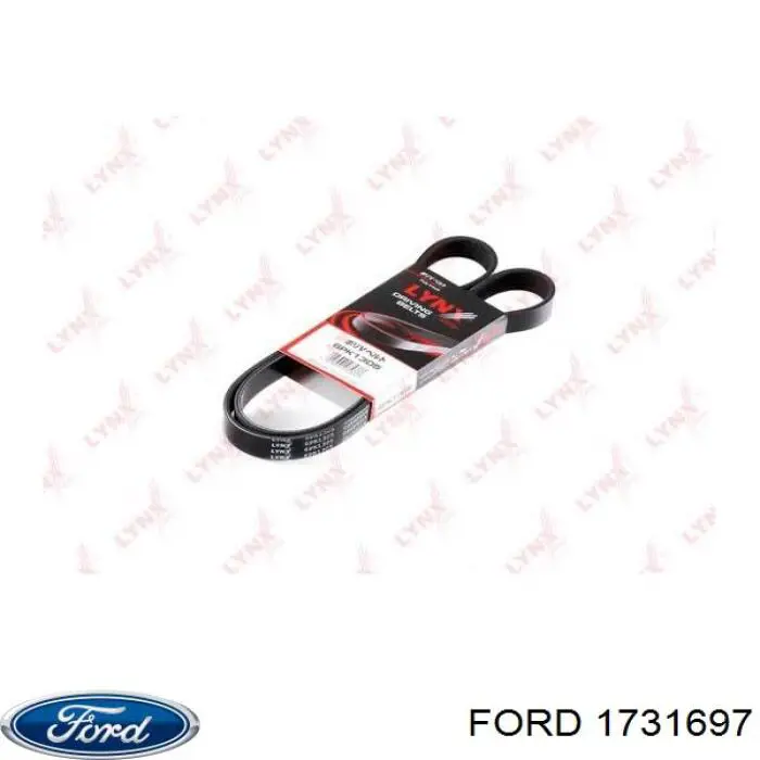 Купить 1731697 Ford Ремень генератора