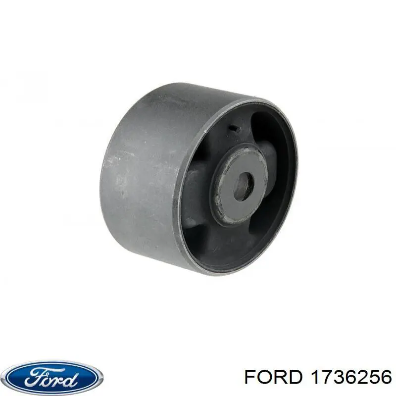 1736256 Ford pára-brisas