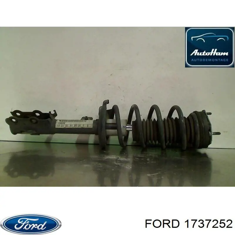 Купить 1737252 Ford Амортизатор подвески передний правый