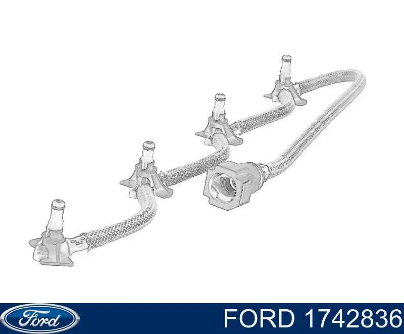 1742836 Ford tubo de combustível, inverso desde os injetores