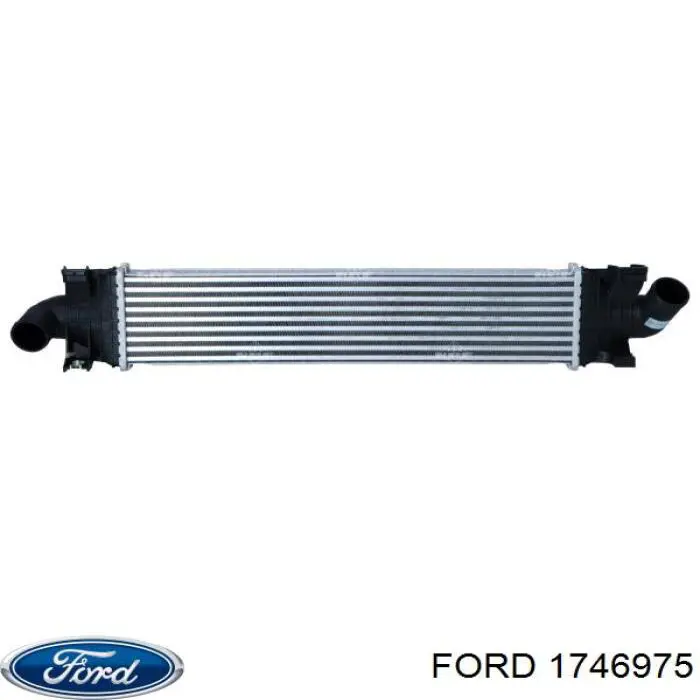 Система охлаждения наддувочного воздуха Ford 1746975 цена, от 44.34 USD