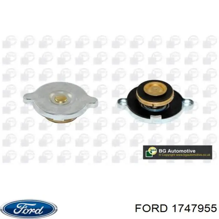  1747955 Ford