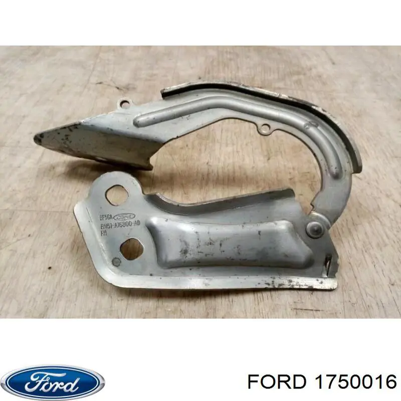 Gozno da capota direito para Ford Focus (CB8)