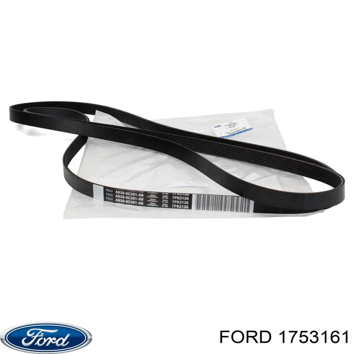 Carril de deslizamiento, cadena de distribución superior 1753161 Ford