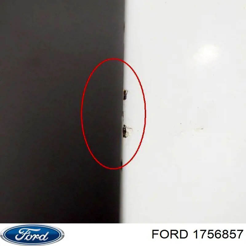 Дверь фургона задняя, распашная, правая Ford 1756857