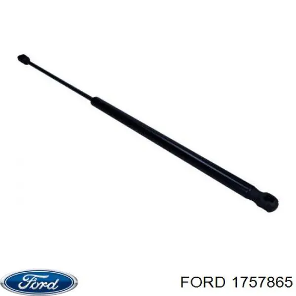 Газовый упор багажника Ford AV11R406A10AB