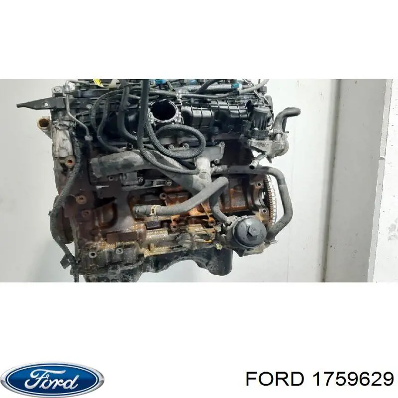  1759629 Ford