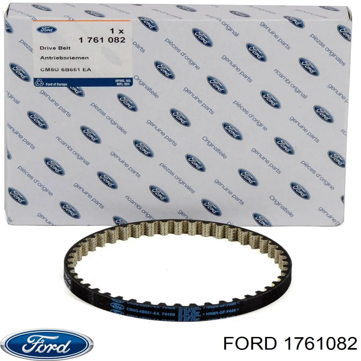 Купить 1761082 Ford Ремень масляного насоса