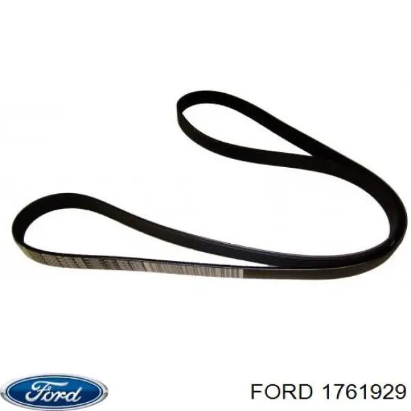 Клиновый ремень Ford 1761929 цена, от 14.71 USD