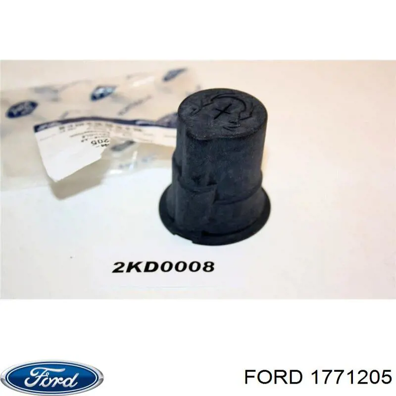 2409598 Ford 