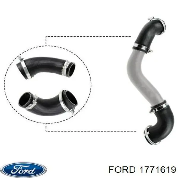 1771619 Ford mangueira (cano derivado direita de intercooler)