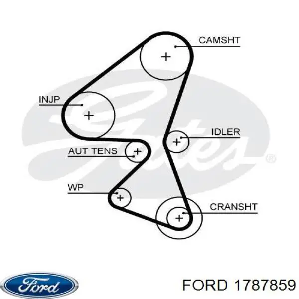 Комплект ГРМ 1787859 Ford