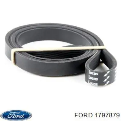 Клиновый ремень Ford 1797879 цена, от 14.71 USD
