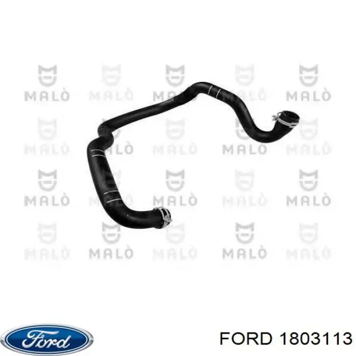 1753876 Ford 