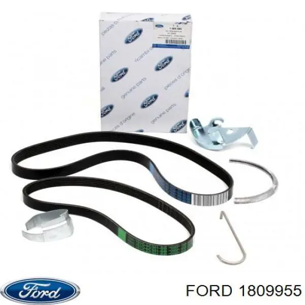 Клиновый ремень Ford 1809955 цена, от 14.28 USD