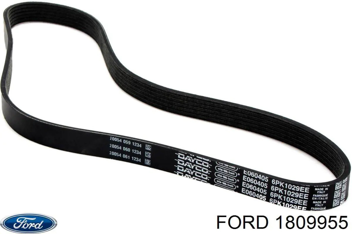 Купить 1809955 Ford Ремень генератора